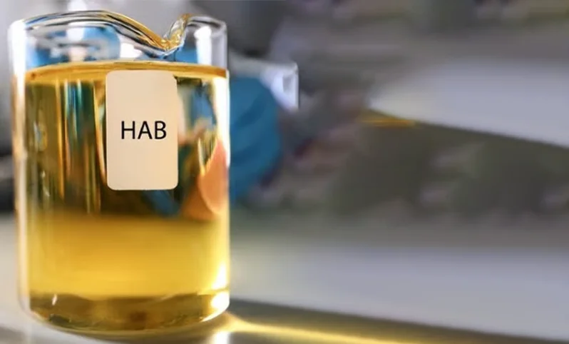 آلکیل بنزن سنگین (HAB)